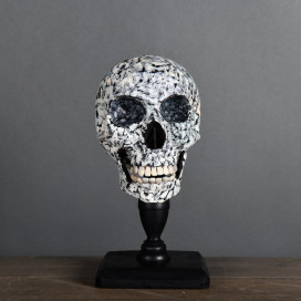 Memento Mori of a Grave Skull