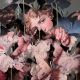 Anamorphose ''Amy and Blake''under Glass Dome