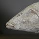 Set of 3 Reliquary Fish from the Solomon Islands