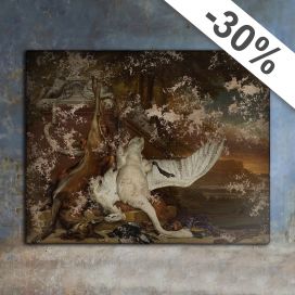 Nature-Morte au Cygne - Jan Weenix