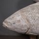 Set of 3 Reliquary Fish from the Solomon Islands