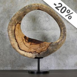 Temporal Ring - L